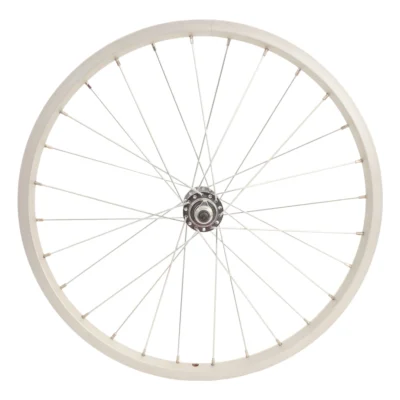 Voorwiel 20" x 1.75 - 100/145/28 - Zilver