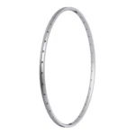 Velg Ryde Zac-19 - 28 inch 622 x 21C