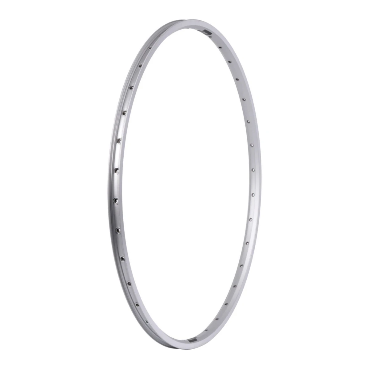 Velg Ryde Zac 19 36 Gaten dubbel gebust Zilver